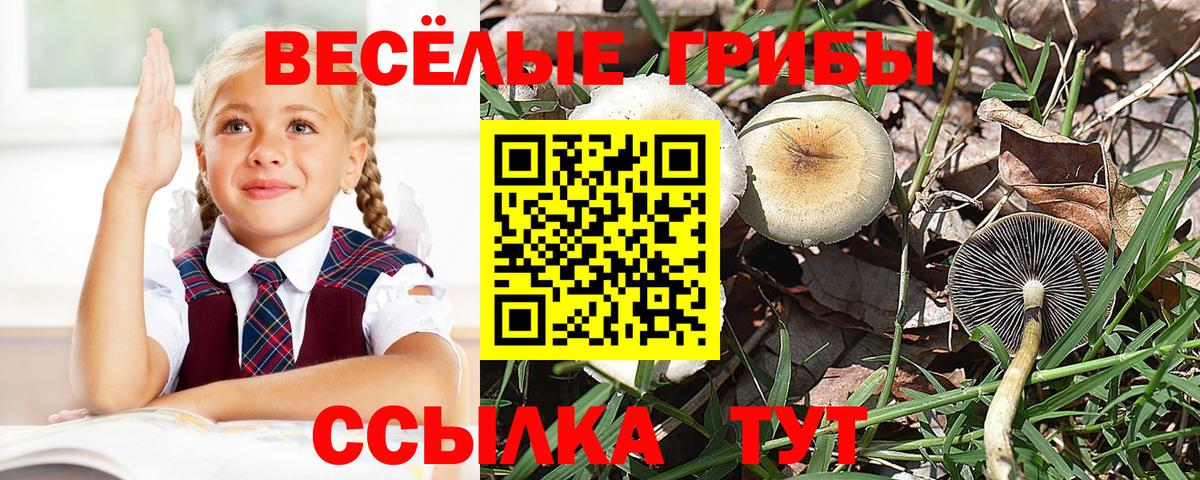 Псилоцибиновые грибы мухоморы Россия