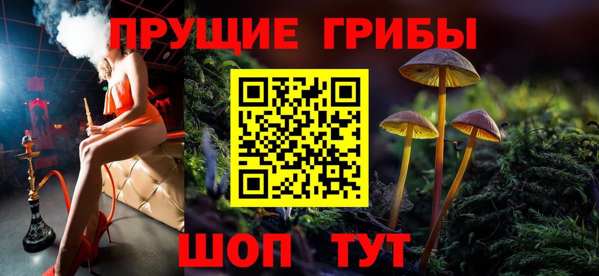 Россия  Псилоцибиновые грибы GOLDEN TEACHER  Вход с VPN  Галлюциногенные грибы мухоморы 